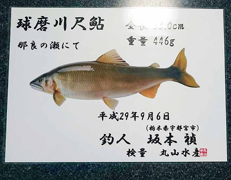 大物ねらい】25cm超の鮎を釣るために必要な5つのコト／前編【Q＆A